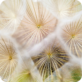 Patterns