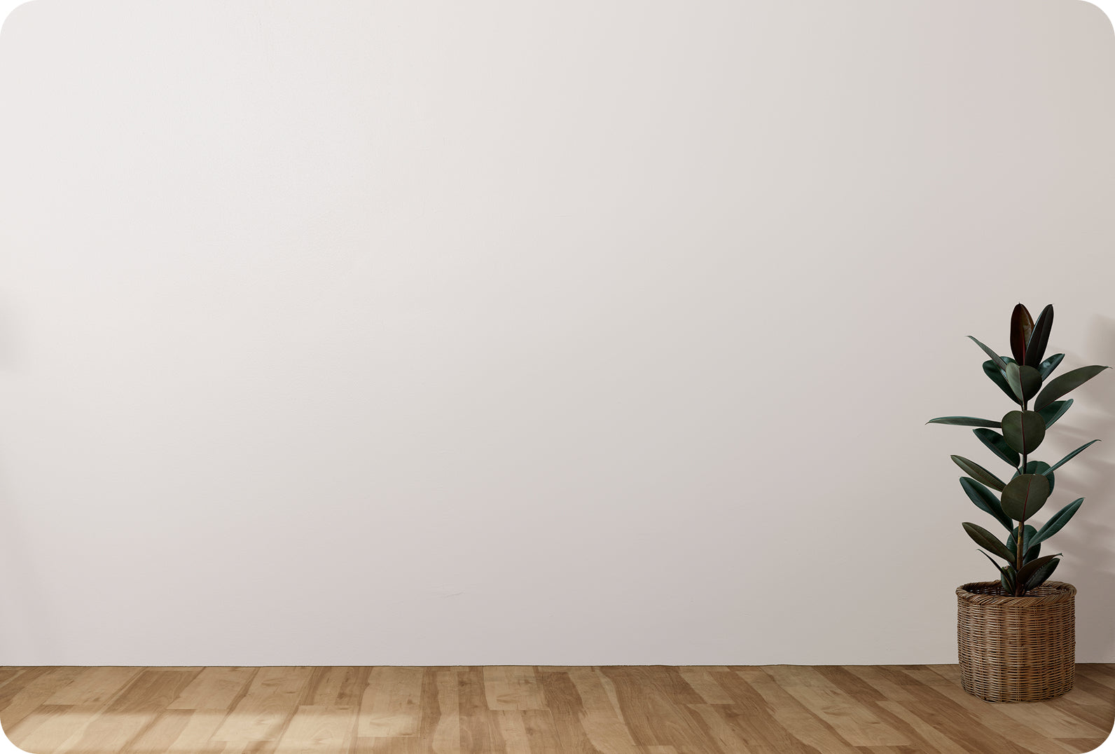 Acoustic Visual Background